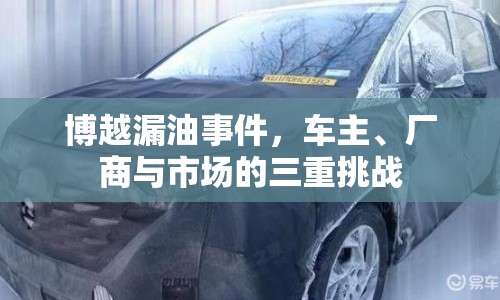 博越漏油事件，車主、廠商與市場的三重挑戰(zhàn)