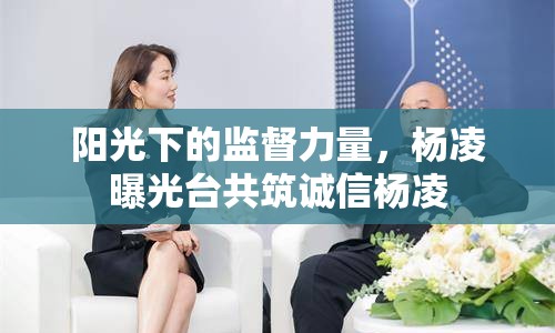 陽光下的監(jiān)督力量，楊凌曝光臺共筑誠信楊凌
