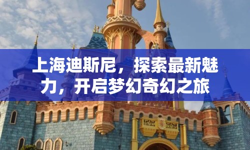 上海迪斯尼，探索最新魅力，開(kāi)啟夢(mèng)幻奇幻之旅