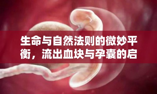生命與自然法則的微妙平衡，流出血塊與孕囊的啟示