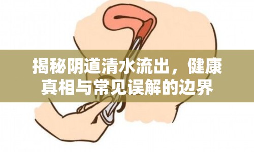 揭秘陰道清水流出，健康真相與常見誤解的邊界