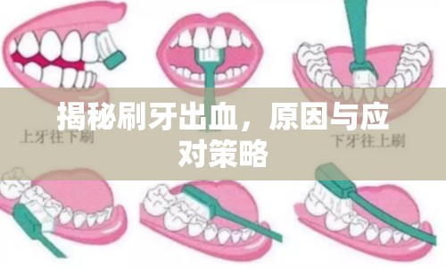 揭秘刷牙出血，原因與應(yīng)對策略