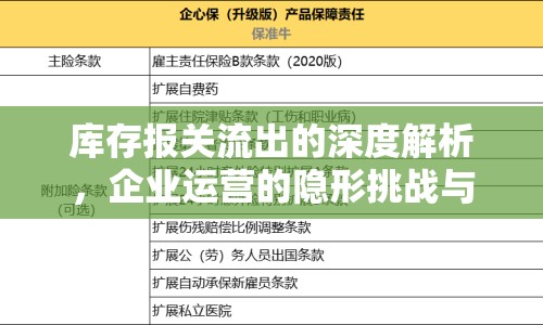 庫存報(bào)關(guān)流出的深度解析，企業(yè)運(yùn)營的隱形挑戰(zhàn)與應(yīng)對策略