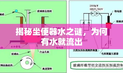 揭秘坐便器水之謎，為何有水就流出