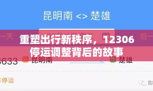 重塑出行新秩序，12306停運調(diào)整背后的故事