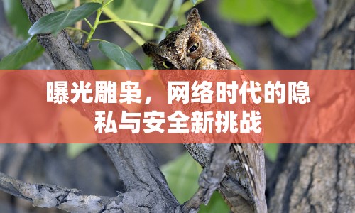 曝光雕梟，網(wǎng)絡(luò)時(shí)代的隱私與安全新挑戰(zhàn)