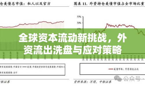 全球資本流動新挑戰(zhàn)，外資流出洗盤與應(yīng)對策略