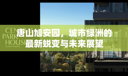 唐山旭安園，城市綠洲的最新蛻變與未來展望