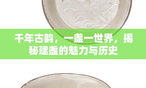 千年古韻，一盞一世界，揭秘建盞的魅力與歷史