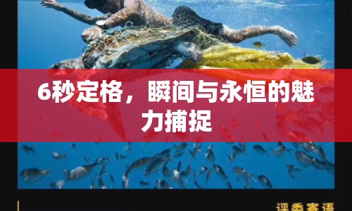 6秒定格，瞬間與永恒的魅力捕捉