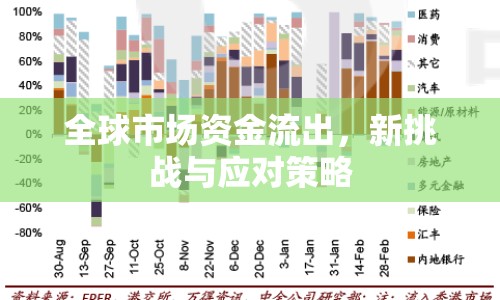 全球市場(chǎng)資金流出，新挑戰(zhàn)與應(yīng)對(duì)策略