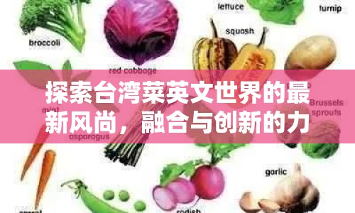 探索臺灣菜英文世界的最新風(fēng)尚，融合與創(chuàng)新的力量