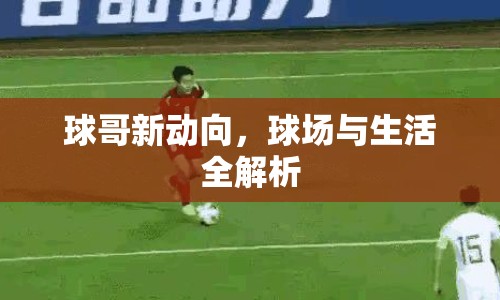 球哥新動(dòng)向，球場與生活全解析
