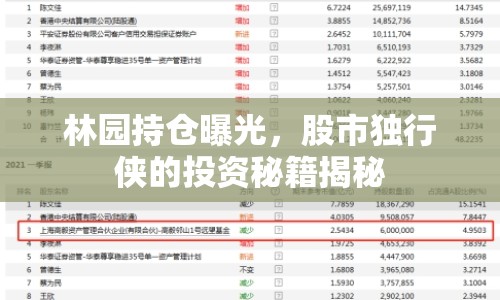 林園持倉曝光，股市獨(dú)行俠的投資秘籍揭秘