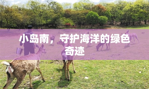 小島南，守護(hù)海洋的綠色奇跡