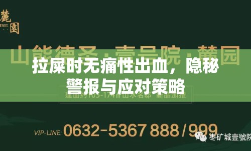 拉屎時(shí)無(wú)痛性出血，隱秘警報(bào)與應(yīng)對(duì)策略