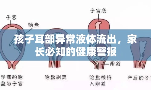 孩子耳部異常液體流出，家長必知的健康警報