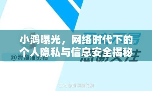 小鴻曝光，網(wǎng)絡(luò)時(shí)代下的個(gè)人隱私與信息安全揭秘