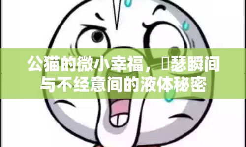 公貓的微小幸福，嘚瑟瞬間與不經(jīng)意間的液體秘密