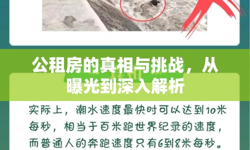 公租房的真相與挑戰(zhàn)，從曝光到深入解析