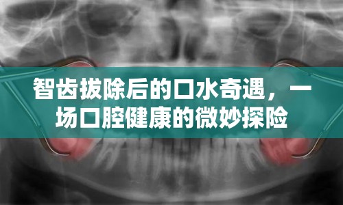 智齒拔除后的口水奇遇，一場口腔健康的微妙探險(xiǎn)