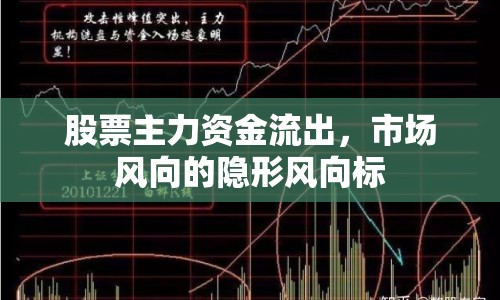 股票主力資金流出，市場(chǎng)風(fēng)向的隱形風(fēng)向標(biāo)
