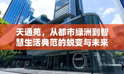 天通苑，從都市綠洲到智慧生活典范的蛻變與未來展望