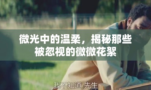 微光中的溫柔，揭秘那些被忽視的微微花絮
