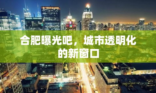 合肥曝光吧，城市透明化的新窗口