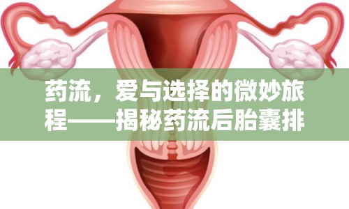 藥流，愛與選擇的微妙旅程——揭秘藥流后胎囊排出的真實(shí)圖片