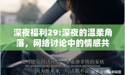 深夜福利29:深夜的溫柔角落，網(wǎng)絡(luò)討論中的情感共鳴與自我療愈