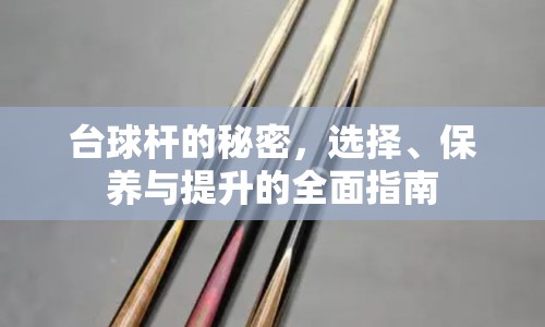 臺球桿的秘密，選擇、保養(yǎng)與提升的全面指南