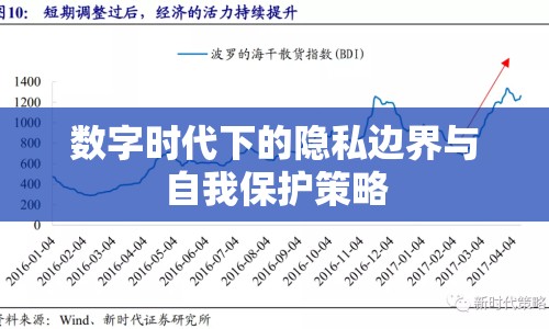 數(shù)字時代下的隱私邊界與自我保護(hù)策略