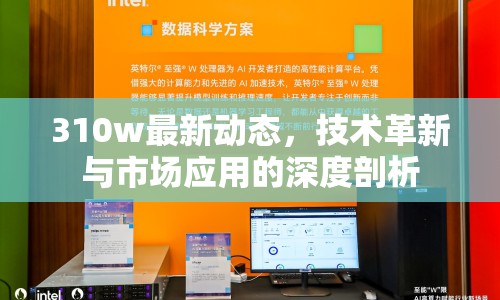 310w最新動態(tài)，技術(shù)革新與市場應(yīng)用的深度剖析