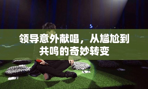 領(lǐng)導(dǎo)意外獻(xiàn)唱，從尷尬到共鳴的奇妙轉(zhuǎn)變
