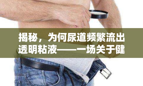 揭秘，為何尿道頻繁流出透明粘液——一場關于健康的微妙探索