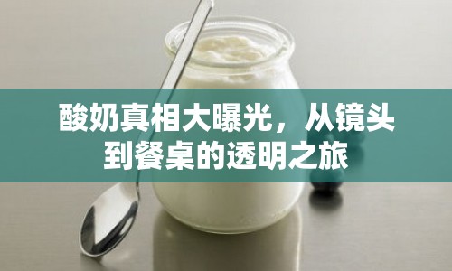 酸奶真相大曝光，從鏡頭到餐桌的透明之旅