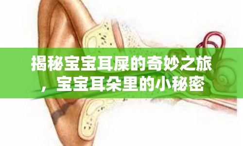 揭秘寶寶耳屎的奇妙之旅，寶寶耳朵里的小秘密