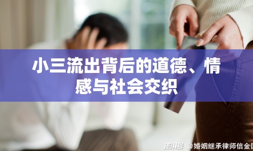 小三流出背后的道德、情感與社會(huì)交織