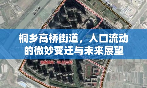 桐鄉(xiāng)高橋街道，人口流動(dòng)的微妙變遷與未來展望