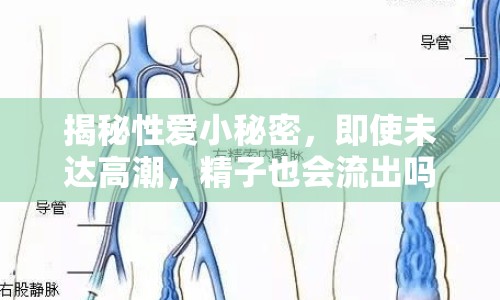 揭秘性愛小秘密，即使未達高潮，精子也會流出嗎？