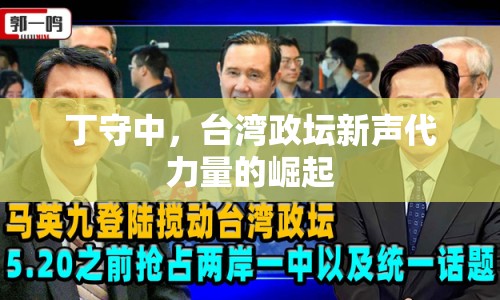 丁守中，臺灣政壇新聲代力量的崛起
