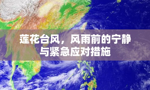 蓮花臺風，風雨前的寧靜與緊急應對措施