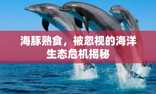 海豚熟食，被忽視的海洋生態(tài)危機(jī)揭秘