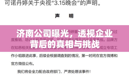 濟(jì)南公司曝光，透視企業(yè)背后的真相與挑戰(zhàn)