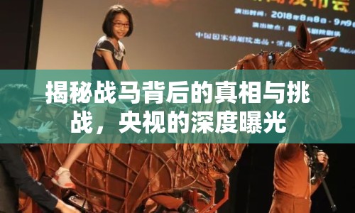 揭秘戰(zhàn)馬背后的真相與挑戰(zhàn)，央視的深度曝光