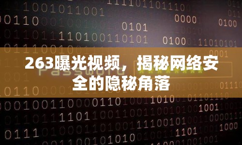 263曝光視頻，揭秘網(wǎng)絡(luò)安全的隱秘角落