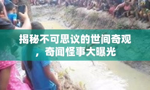 揭秘不可思議的世間奇觀，奇聞怪事大曝光