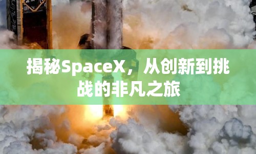 揭秘SpaceX，從創(chuàng)新到挑戰(zhàn)的非凡之旅