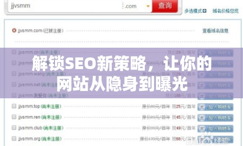 解鎖SEO新策略，讓你的網(wǎng)站從隱身到曝光